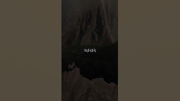 سورة المائدة | المنشاوي  #اكسبلور #قصص #دويتو