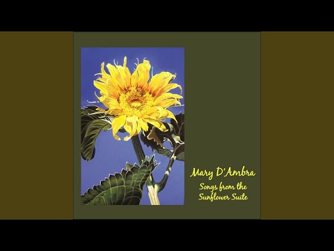 Watch Night Into Day on YouTube