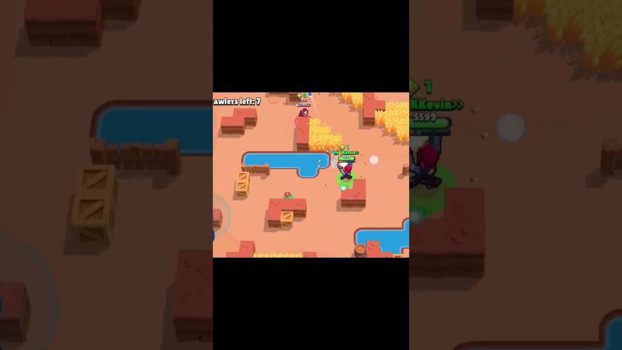 Colt play!!Buzz😡