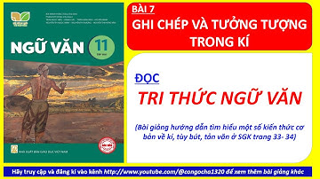 BÀI 7 TRI THỨC NGỮ VĂN- GHI CHÉP VÀ TƯỞNG TƯỢNG TRONG KÍ- NGỮ VĂN 11- KẾT NỐI TRI THỨC