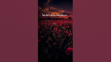 دقيقة من القرآن الكريم بصوت الشيخ ماهر المعيقلي سورة النساء #قرآن #religion #قرآن_كريم #قران