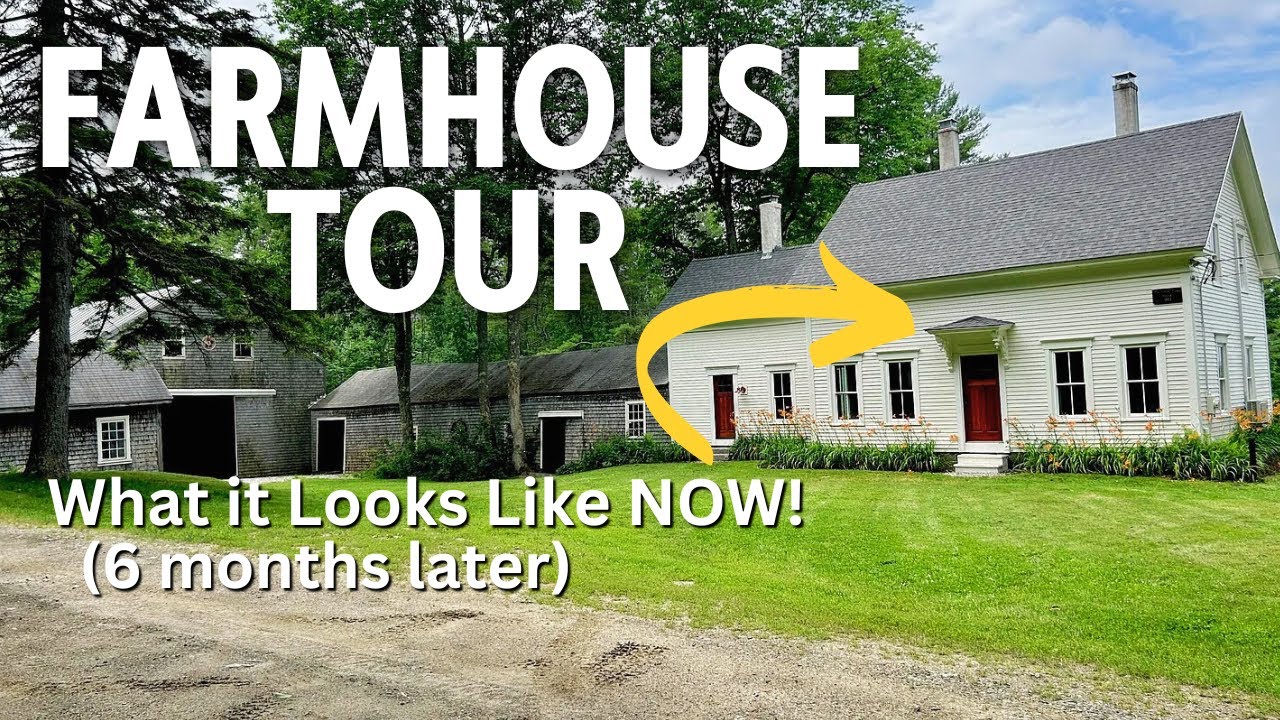 HOUSE TOUR 6 Months Since Moving to the Remote Countryside