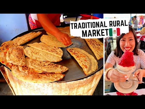 オアハカの伝統的なメキシコ料理| OCOTLANマーケットでの素晴らしいオアハカ屋台の食べ物
