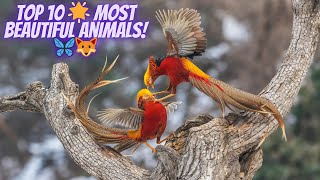 Top 10 Most Astonishing Animals That Will Leave You Speechless