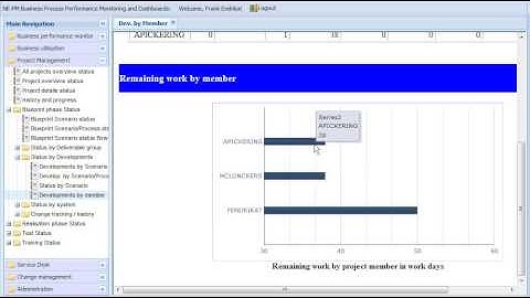 SAP Solution Manager Dashboard in BusinessObjects Xcelsius - Status of Development work