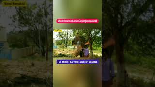 elephant video | #shorts | yaanaigal mugaam | elephant video in tamil | elephant camo | yaanai video