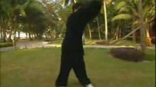 THREE - EMPEROR CANNON QUAN - FAMOUS BOXING OF NORTH SCHOOL screenshot 3