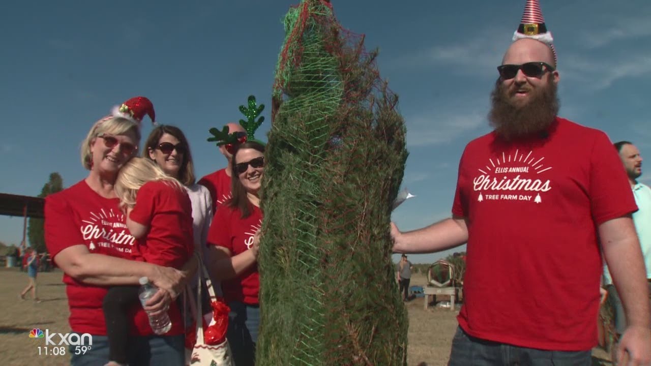 Elgin Christmas tree farm YouTube