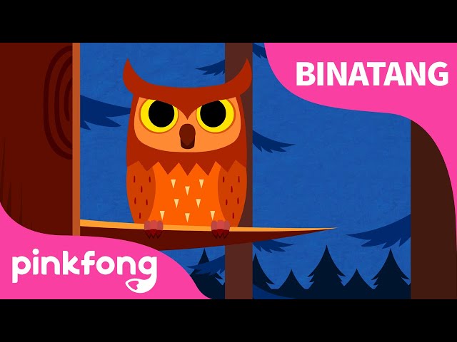 Suara Binatang | Lagu Binatang & Hewan | Lagu Anak Bahasa Indonesia | Pinkfong dan Baby Shark class=