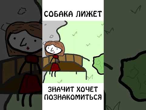 А вы знали как собаки знакомиться ? #собака #авызналиэто #академияброкколи #шортс #животные