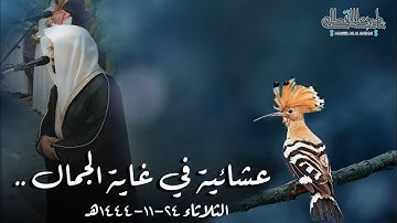 قصة سليمان عليه السلام مع الهدهد بتلاوة لا توصف للشيخ ⁧‫ناصر القطامي | 24-11-1444هـ