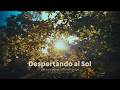 777 Hz - Despertando al Sol | Sandy Saviñón | Visualizer