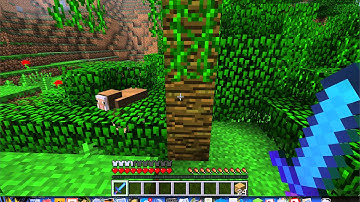 Minecraft Survival lets play: Intro (luke)