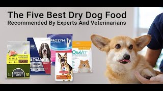 Best 5 Dry Dog Food Pet Food Pet Care Pet Supplies VetSupply