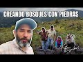 Regenerando bosques con piedras tecnicas de permacultura