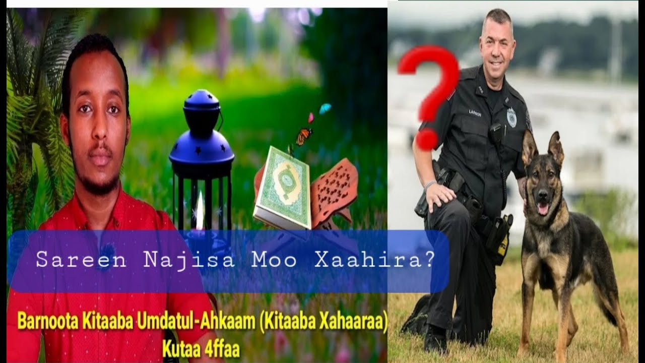 Barnoota Kitaaba Umdatul-Ahkaam Kutaa 4ffaa (Kitaaba Xahaaraa). SAREEN NAJISA MOO XAHAAHIRA?.
