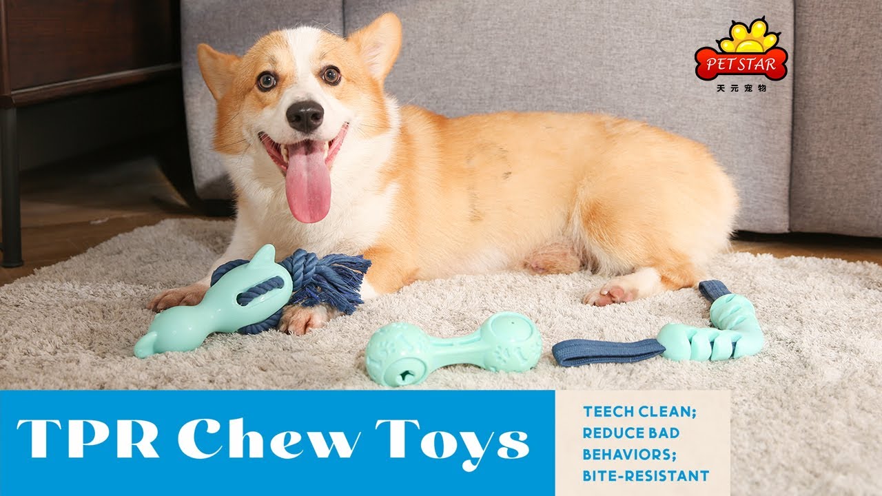 TPR Dog Chew Toys | Bite-Resistant Teeth Cleaning Toys from OEM Factory