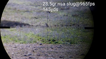 Fx impact ground squirrels