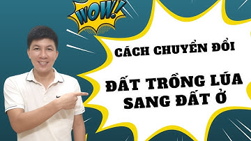 Cách chuyển đổi đất trồng lúa sang đất ở trong bất động sản đơn giản và an toàn  I Hà Văn Linh
