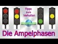 Die Ampelphasen Tipps - Verhalten- Vorfahrt - Ampel rot - gelb - grün - Fahrstunde