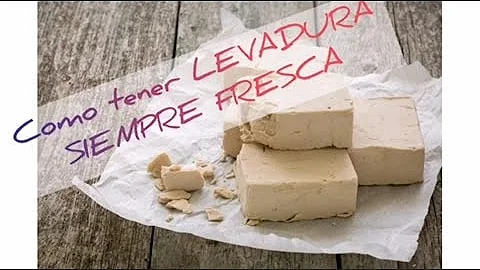 Como armazenar fermento biológico seco após aberto?