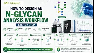 A Step-by-Step Guide to N-Glycan Analysis Workflow Design - BOC Sciences