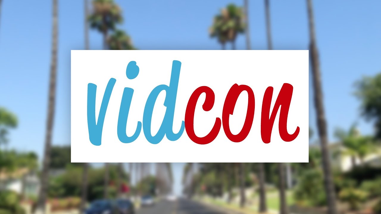 VIDCON 2013