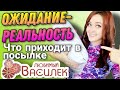 ВАСИЛЕК💥 ЯРКИЕ НАРЯДЫ ДЛЯ ВСЕХ▶️ ОЖИДАНИЕ - РЕАЛЬНОСТЬ