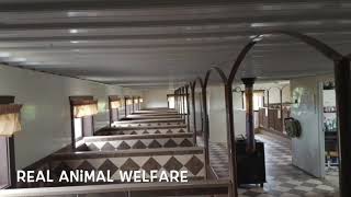 USDA Licensed Kennel  Episode #10