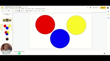 Transdisciplinary Learning Analogies