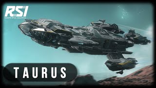 STAR CITIZEN | Обзор | Taurus | Патч - 3.14 [4k]