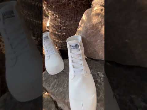 PALLADIUM | An