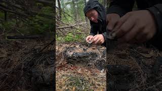 Rainy morel foraging in Idaho 🍄🌿 #idaho #morel #foraging Rainy morel foraging in Idaho 🍄🌿 #idaho #morel #foraging
