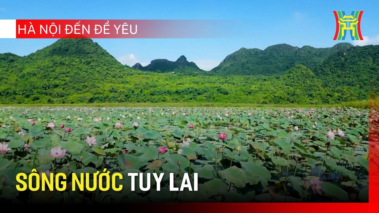 Sông nước Tuy Lai | Hà Nội đến để yêu