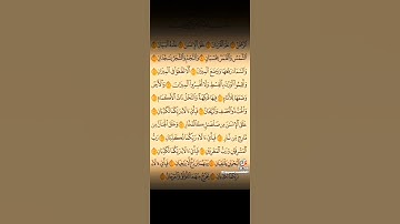 سورة الرحمن|الشيخ جمال مصطفي #القرآن_الكريم #quran #قرآن #سورةالرحمن