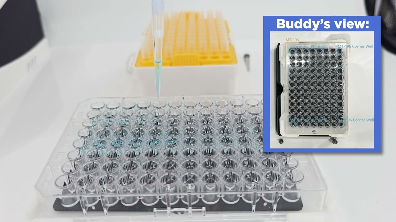 Buddy: Pick & Place and Pipetting Workflow