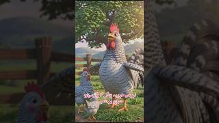 Life Cycle of a Chicken | From Egg to Rooster 🥚➡️🐓 | Kids Learning Video#shorts#viral#story#fyp