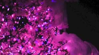 Contron - All those people yr glad you forgot