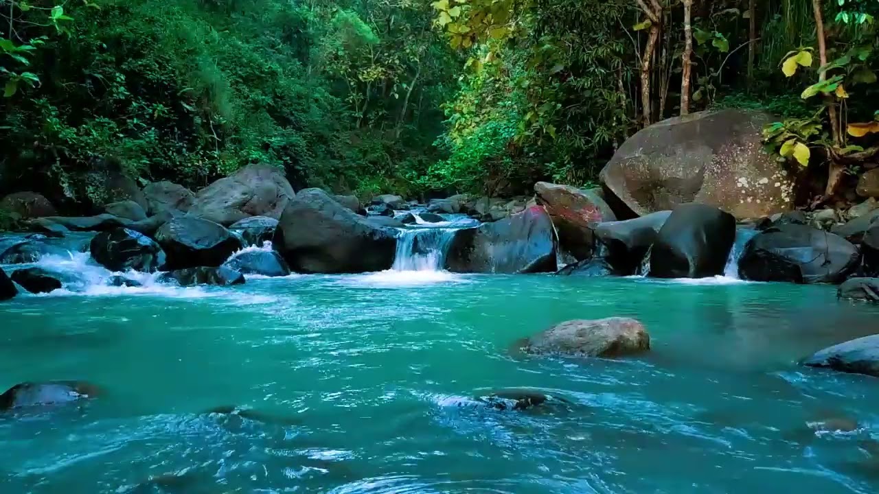 Mountain stream flowing, Forest river stream🌿  Flowing water💧white noise for sleeping