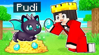 Pudi EJDERHA olarak YARDIM EDİYOR!  Minecraft