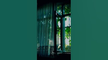 Soft Wind, Moving Curtains | Aesthetic Home Vibes | 1080p HD