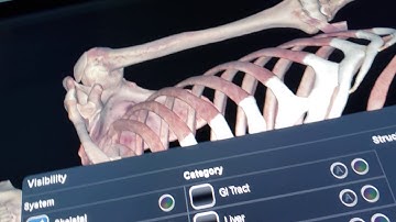 Anatomage beginning to end