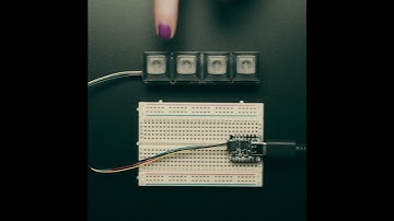 PCB of the day! NeoKey 1x4 QT I2C - Four Mechanical Key Switches with NeoPixels - STEMMA Qwiic 🔧🎛️🔗
