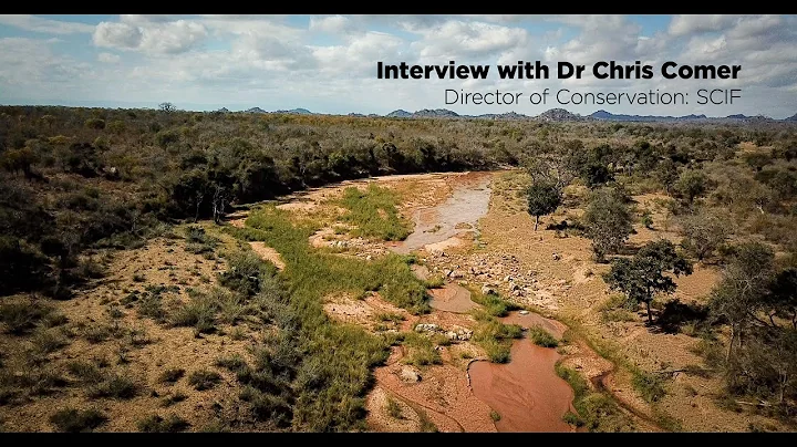 Patrol: Interview with Chris Comer