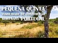 Quinta com Viabilidade de Construção / Benquerenças / Castelo Branco | € 19.000