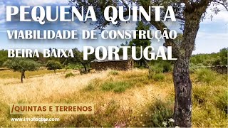 🔆 QUINTA para Venda / VIABILIDADE CONSTRUÇÃO / Benquerenças / Castelo Branco | Indisponível
