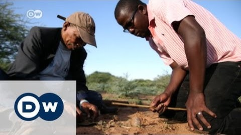 Botswana: new market for traditional skills | DW English