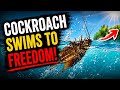 COCKROACH SWIMS TO FREEDOM! The Ultimate Escape