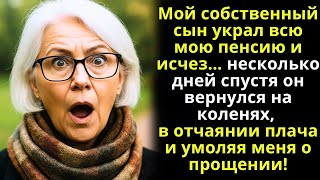 Мой сын украл мою пенсию и исчез… спустя дни он вернулся на коленях, умоляя о прощении. А я…