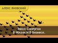Синергия Что Такое Синергия Закон Синергии В Жизни И В Бизнесе 